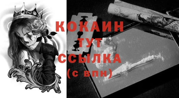 Альфа ПВП Белокуриха