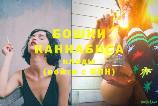Альфа ПВП Белокуриха