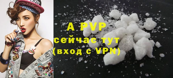 Альфа ПВП Белокуриха